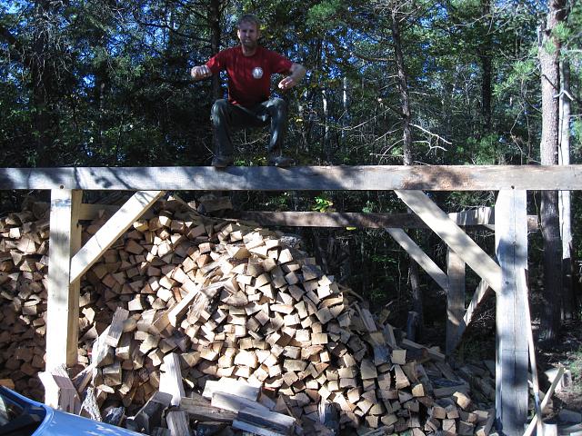 pctree-woodpile.jpg