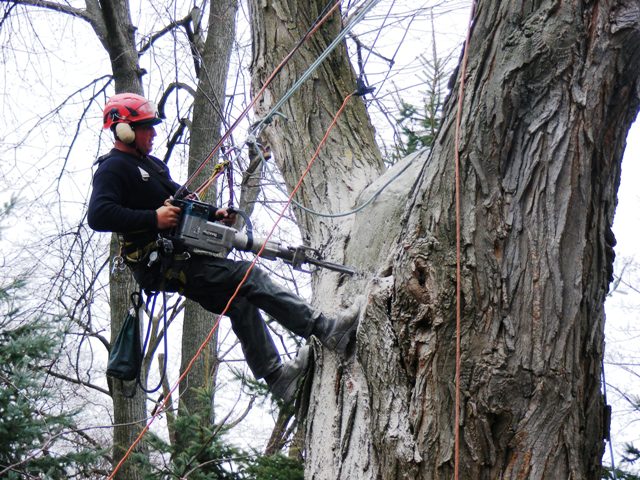 rope-armour-concrete.jpg