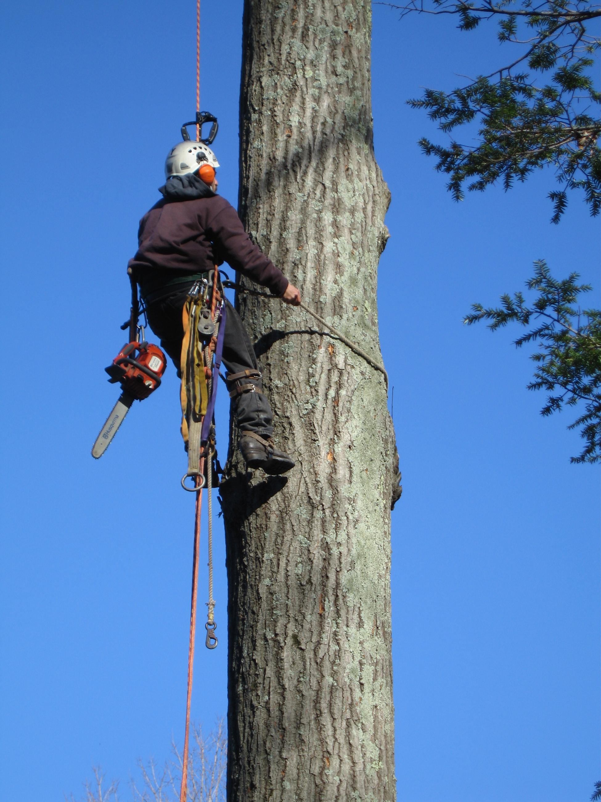 rskybiz_Joel_spur-climbing.jpg