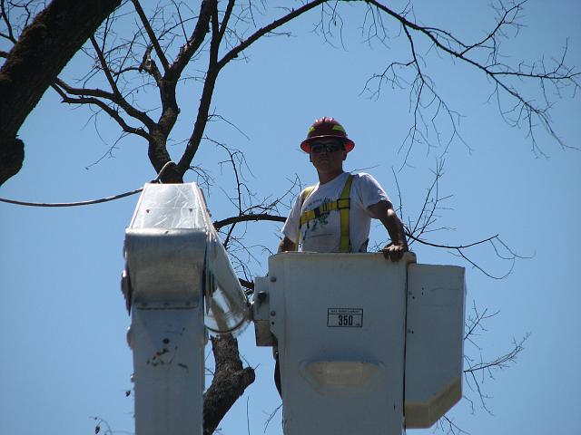 willie-bucket.jpg